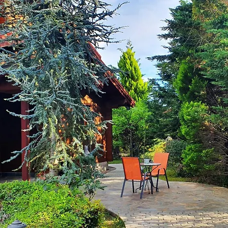Luxury Wooden With Pool, The Nest Villa Kato Korakiana